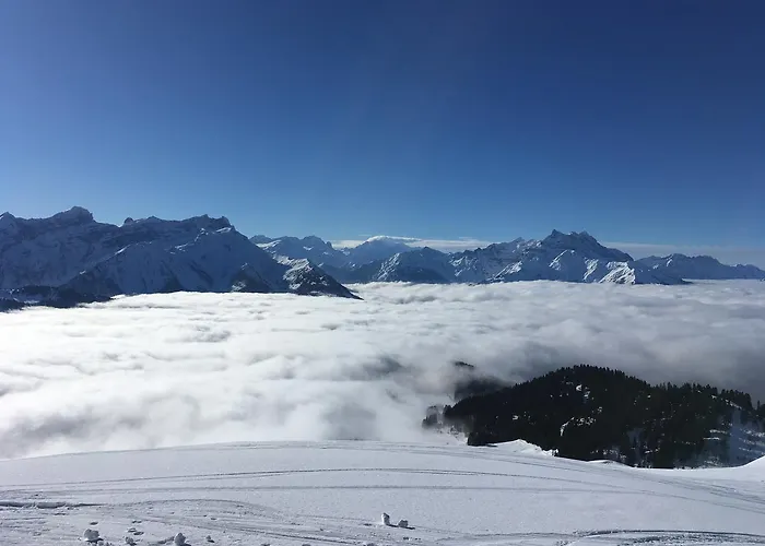 Royalp - 22a Апартаменты